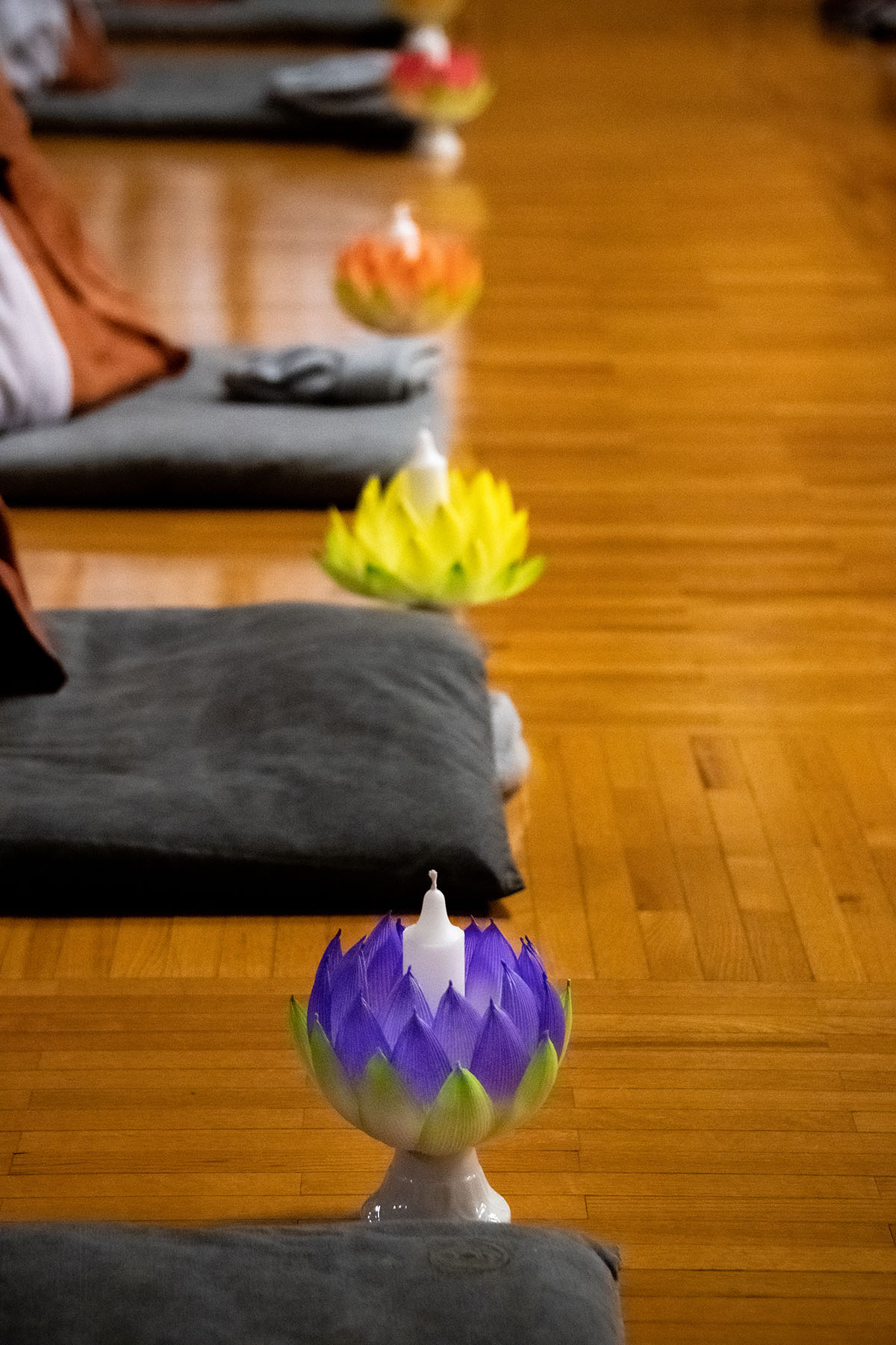 e59de9886cb03bfa5a5fc2e9d946af25_1644280591_2685.jpg e59de9886cb03bfa5a5fc2e9d946af25_1644280591_2685.jpg